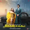 About Gaadi Kaali Song